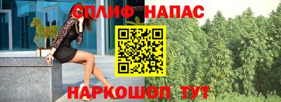 бошки Тверь
