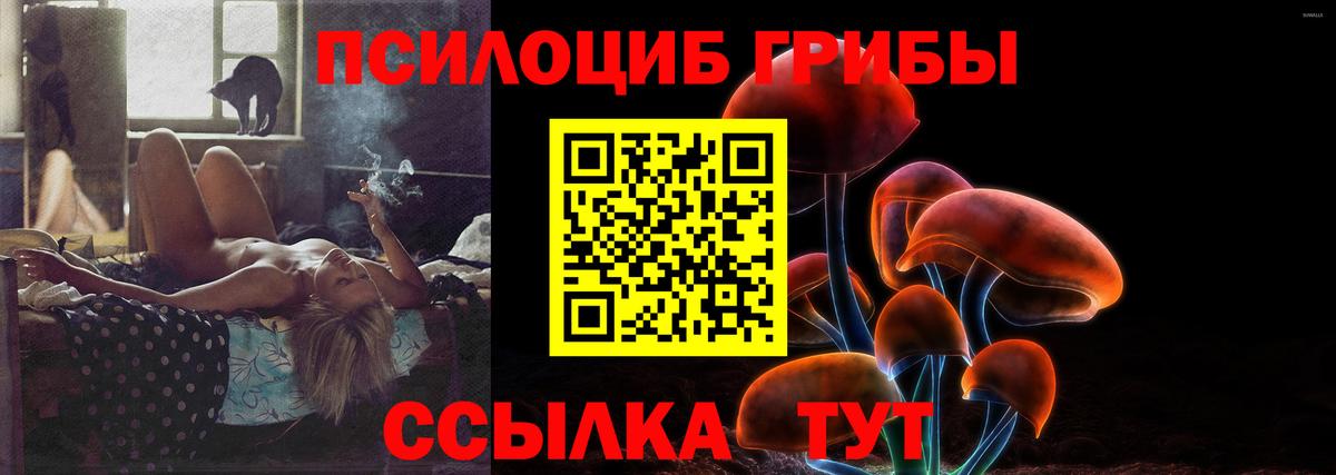 Псилоцибиновые грибы мухоморы  Псилоцибиновые грибы GOLDEN TEACHER  купить наркотик  Нововоронеж  Вход с VPN 